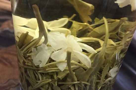 女孩喝茉莉茶的好處，茉莉茶葉的功效與禁忌