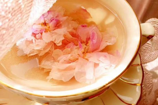 玫瑰花茶一周喝幾次，玫瑰花茶可以天天喝嗎？