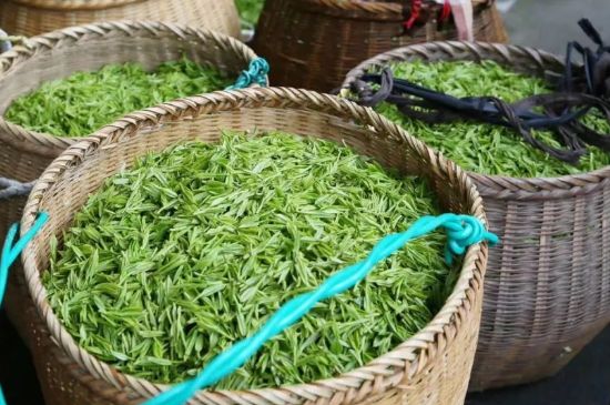 茶葉怎么炒制才香，怎樣炒茶葉更香？