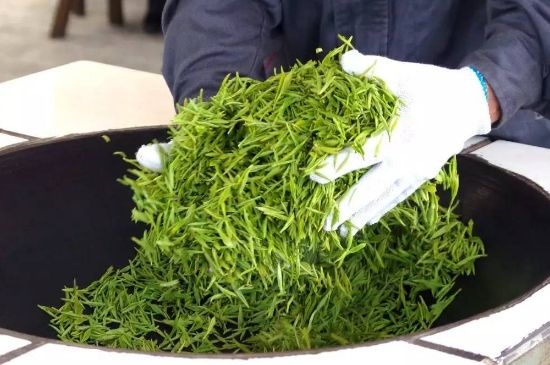 自家炒茶葉怎么炒，自己炒茶葉的步驟