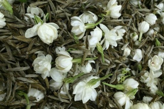 茉莉銀針口感，茉莉銀針是什么味道？