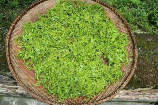 茅巖莓茶加工工藝，莓茶的工藝制作過程