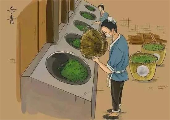 制茶八步驟，制茶工藝流程圖