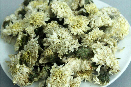 菊花茶買小朵還是大朵，泡茶用的小菊花和大菊花哪個(gè)好