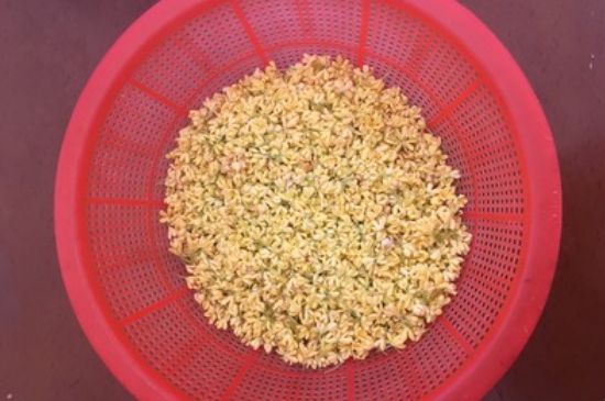 干桂花茶的制作方法，怎樣自制桂花茶？