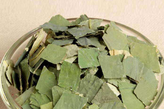 荷葉茶每天喝多少合適，什么時候喝最好？