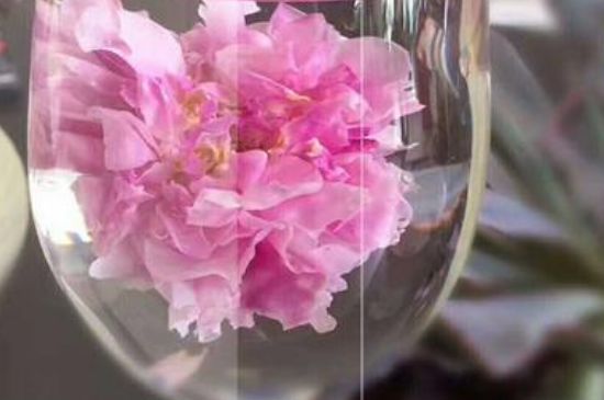 干玫瑰花泡水放幾顆，玫瑰花泡水一次放幾朵？