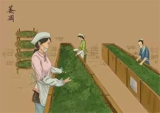 制茶八步驟，制茶工藝流程圖