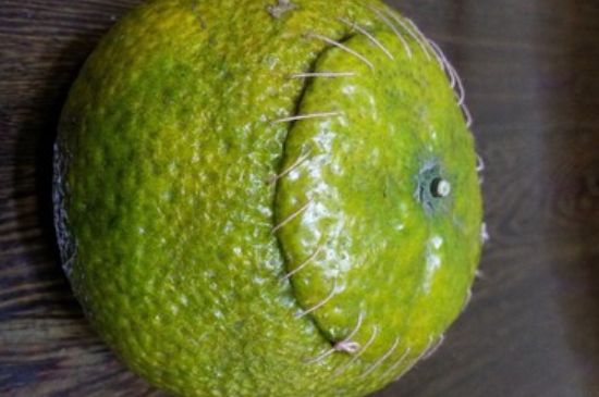 家庭自制柑普茶方法，小青柑制作9個(gè)步驟竅門（圖片）