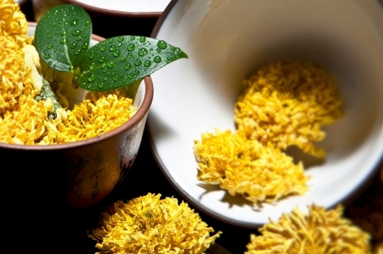 孕婦可以喝菊花茶嗎，菊花對胎兒有致畸作用？