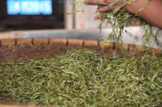 炒青綠茶與綠茶的區(qū)別，烘青和炒青哪個(gè)好喝？