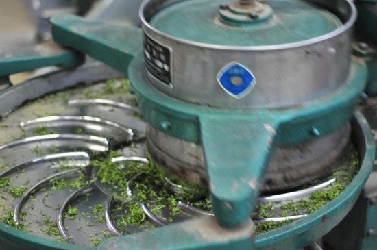 武夷巖茶的初制、精制加工工藝詳細(xì)講解