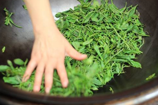 炒青綠茶與綠茶的區(qū)別，烘青和炒青哪個(gè)好喝？