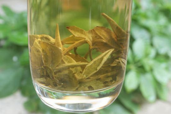 茉莉龍珠泡開后為什么都是梗，茉莉龍珠泡開后什么樣？