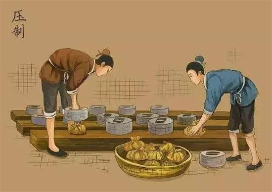 制茶八步驟，制茶工藝流程圖