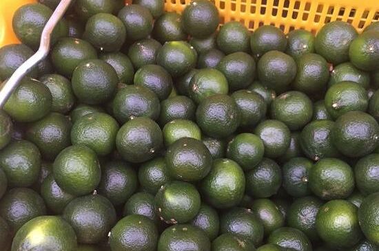 家庭自制柑普茶方法，小青柑制作9個(gè)步驟竅門（圖片）