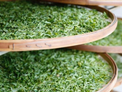 云南八大茶系分別是哪些，都是什么名字