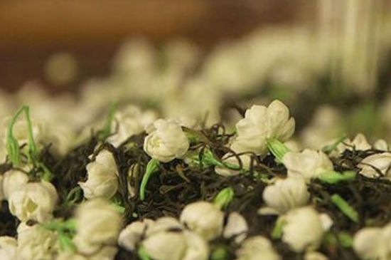 蒸茶器可以蒸花茶嗎，蒸茶器能用來蒸茉莉花茶嗎？