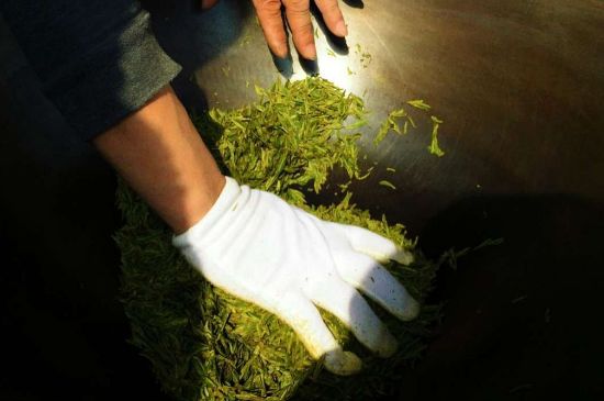 茶葉怎么炒制才香，怎樣炒茶葉更香？