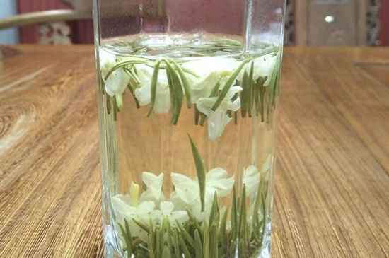 女孩喝茉莉茶的好處，茉莉茶葉的功效與禁忌