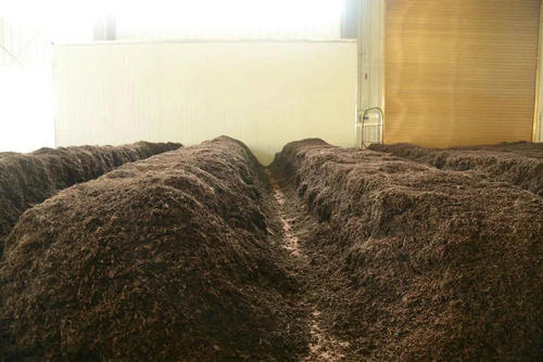 制茶八步驟，制茶工藝流程圖