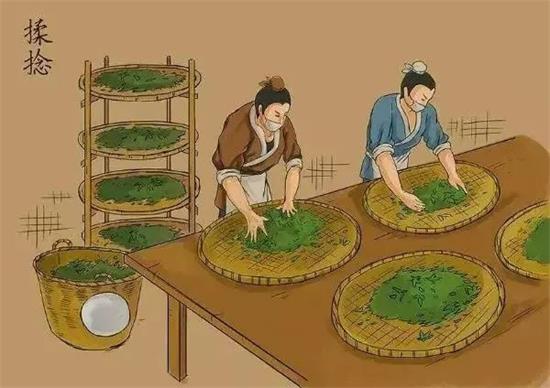 制茶八步驟，制茶工藝流程圖