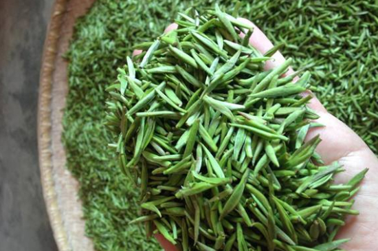 采茶的方法與步驟，如何正確采摘茶葉？