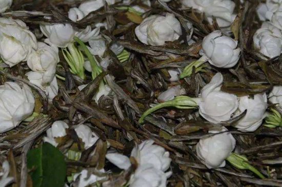 茉莉龍珠怎么做的，茉莉龍珠的制作工藝