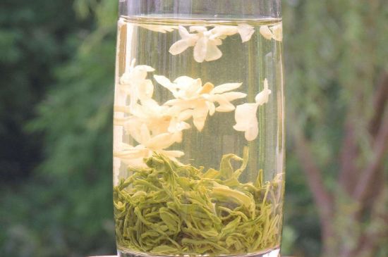 茉莉龍珠可以和什么一起泡茶，茉莉龍珠茶能加蜂蜜嗎？