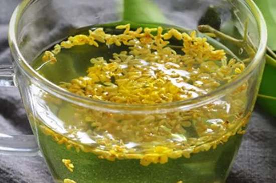 茉莉茶一次泡幾朵，茉莉茶放多少