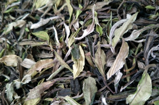 福鼎白茶貢眉和壽眉的區(qū)別，壽眉與貢眉有什么區(qū)別