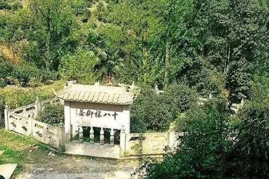 母樹大紅袍給誰喝了，為什么母樹大紅袍叫三棵六株？