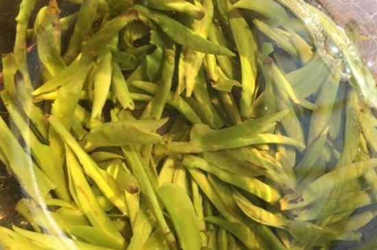 龍井是明前的好還是雨前的好，明前茶和雨前茶哪個(gè)好喝？