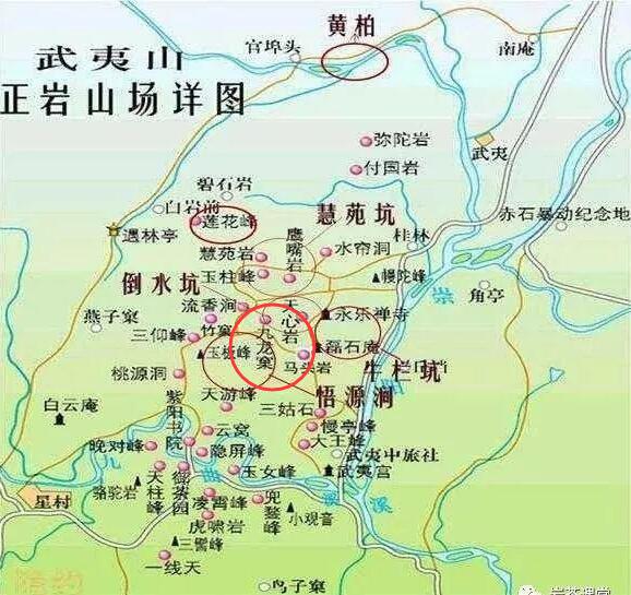 母樹大紅袍給誰喝了，為什么母樹大紅袍叫三棵六株？