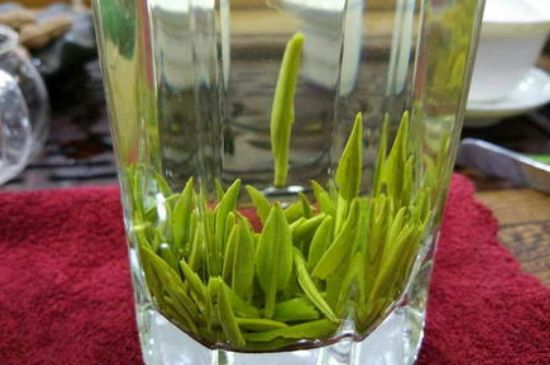 雀舌有一股青草味，雀舌為什么有青草味？