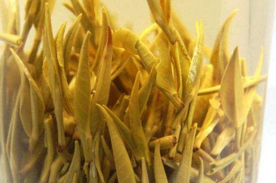 黃茶不適合哪些人喝，黃茶的功效與作用禁忌