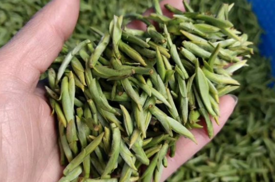 龍井茶好壞的鑒別圖片，如何區(qū)別龍井茶的好壞？