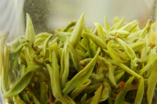 碧螺春為什么泡水渾濁，碧螺春茶葉泡水感覺很臟是混濁的