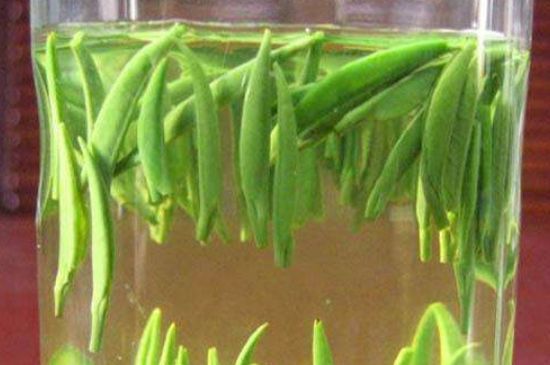 竹葉青和毛尖的區(qū)別，毛尖和竹葉青怎么分辨？