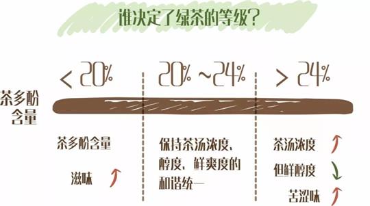 什么綠茶口味重口感濃郁，口味比較重的綠茶都有那些？