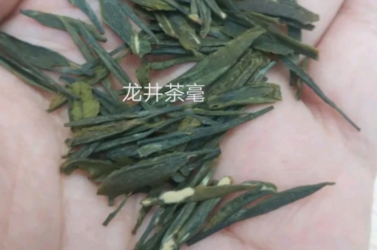 西湖龍井茶毫和發(fā)霉區(qū)別圖片，長霉的龍井茶葉會是什么樣？
