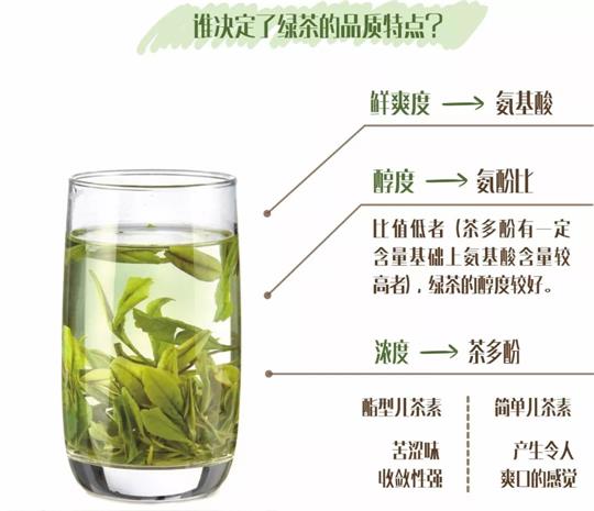 什么綠茶口味重口感濃郁，口味比較重的綠茶都有那些？