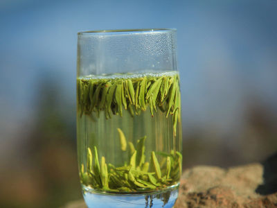 竹葉青茶怎么樣，檔次較高味道略苦價(jià)格比較貴