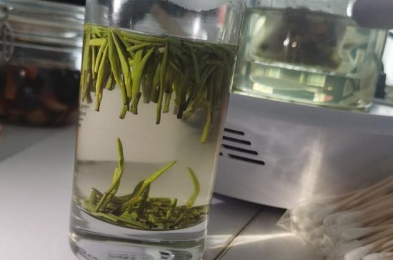 金壇雀舌算不算好茶，金壇雀舌屬于什么檔次茶葉？