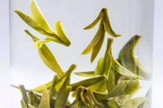 烏牛早和龍井的區(qū)別圖片，龍井43號和烏牛早茶的對比