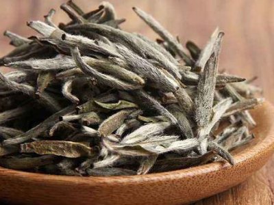 白茶有哪些品種排名，<a href=http://www.iremcollection.com/fenlei/baicha/ target=_blank class=infotextkey>白茶的種類</a>大全