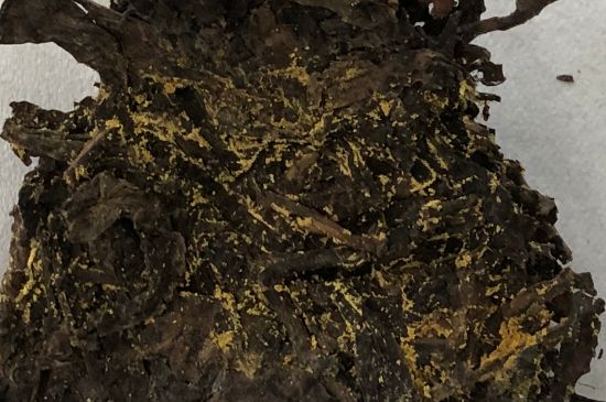 怎么知道涇渭茯茶是否變質(zhì)，茯磚茶金花和發(fā)霉的區(qū)別