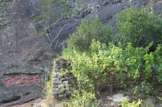 母樹大紅袍給誰喝了，為什么母樹大紅袍叫三棵六株？