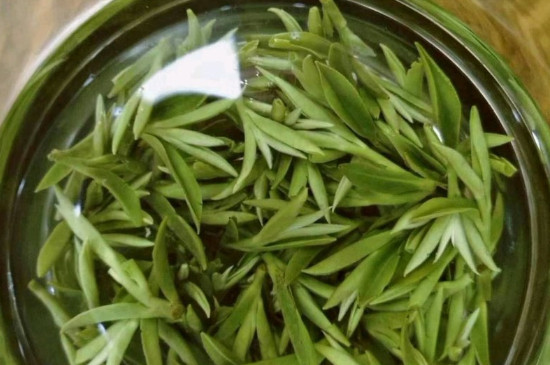 什么綠茶茶葉唇齒留香，哪個品種綠茶香氣好？