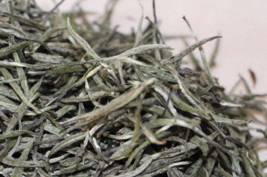 什么人不能喝白茶，白茶不宜什么人喝？